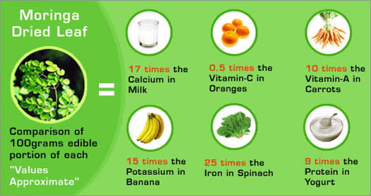 Moringa provides abundant nutrients