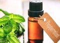 benefits of peppermint essential oil